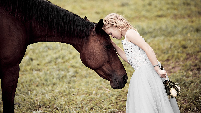 horse love photo   girl and horse photo